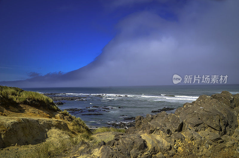 太平洋和俄勒冈海岸/海滩-沙子，冲浪，和茂密的森林